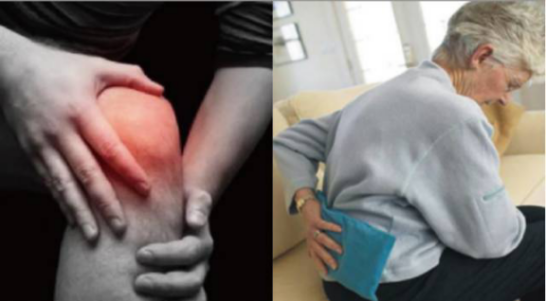 K8凯发旗舰厅(中国)官方网站