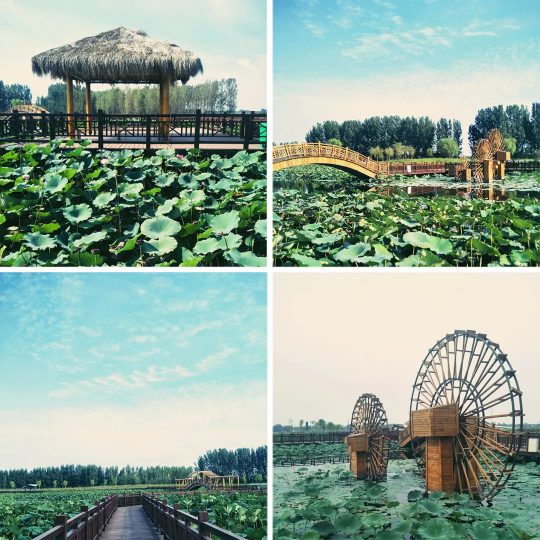 K8凯发旗舰厅(中国)官方网站