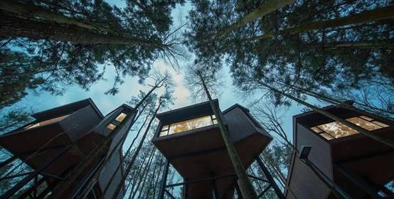 K8凯发旗舰厅(中国)官方网站