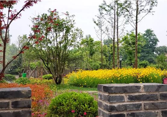 K8凯发旗舰厅(中国)官方网站