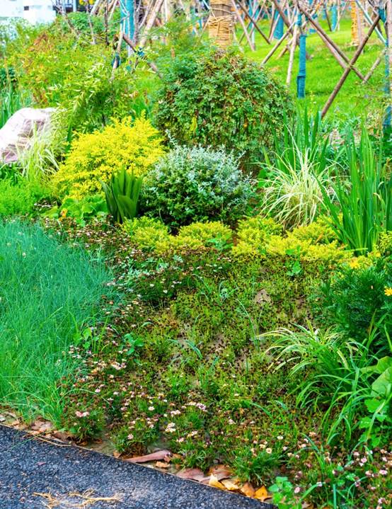 K8凯发旗舰厅(中国)官方网站